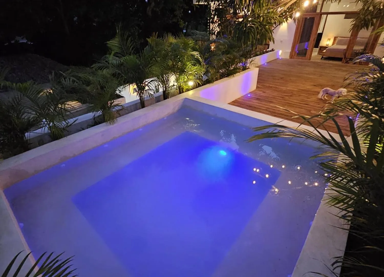 Villa Vista Las Terrenas